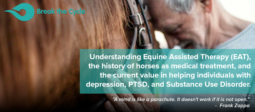 Equine Assisted Therapy Banner
